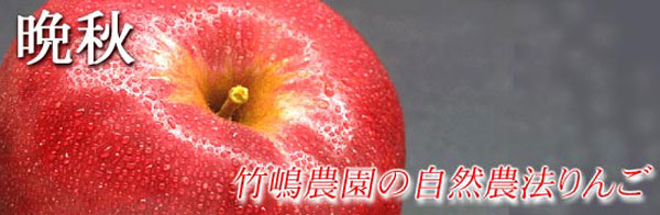 竹嶋農園の自然農法りんご