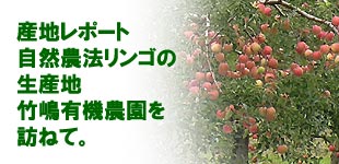 産地レポート 自然農法リンゴの生産地竹嶋有機農園を訪ねて。