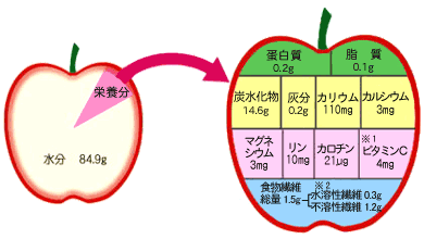 りんごの栄養分